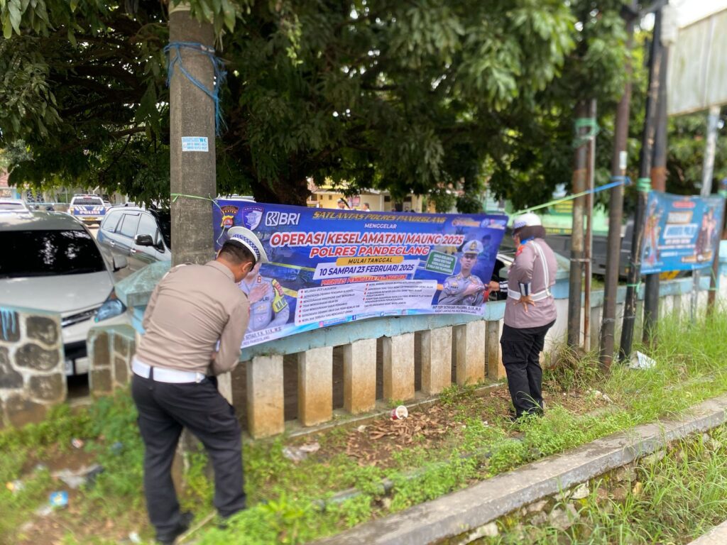 WhatsApp Image 2025 02 22 at 08.56.00