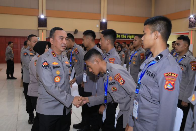 vdfb