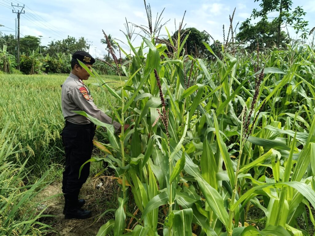 WhatsApp Image 2026 03 05 at 18.16.15