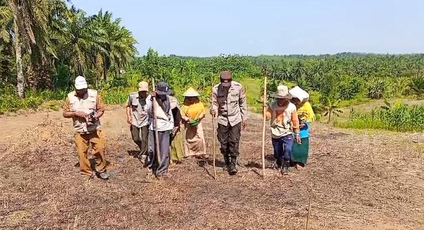 jagung